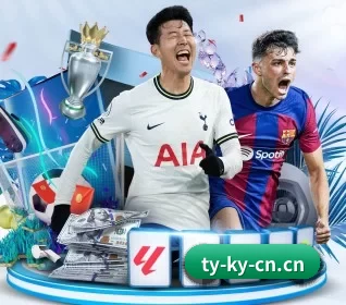 开云电竞 APP